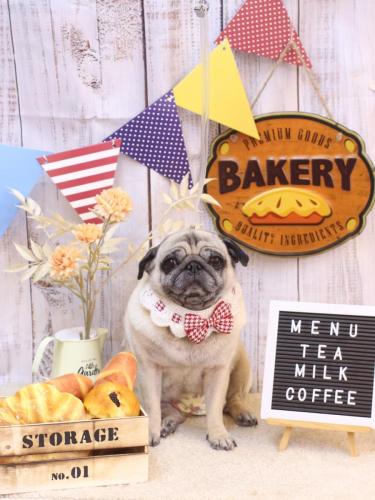 20240927くりこちゃん